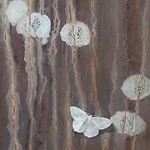 Young Maple, Little Emerald